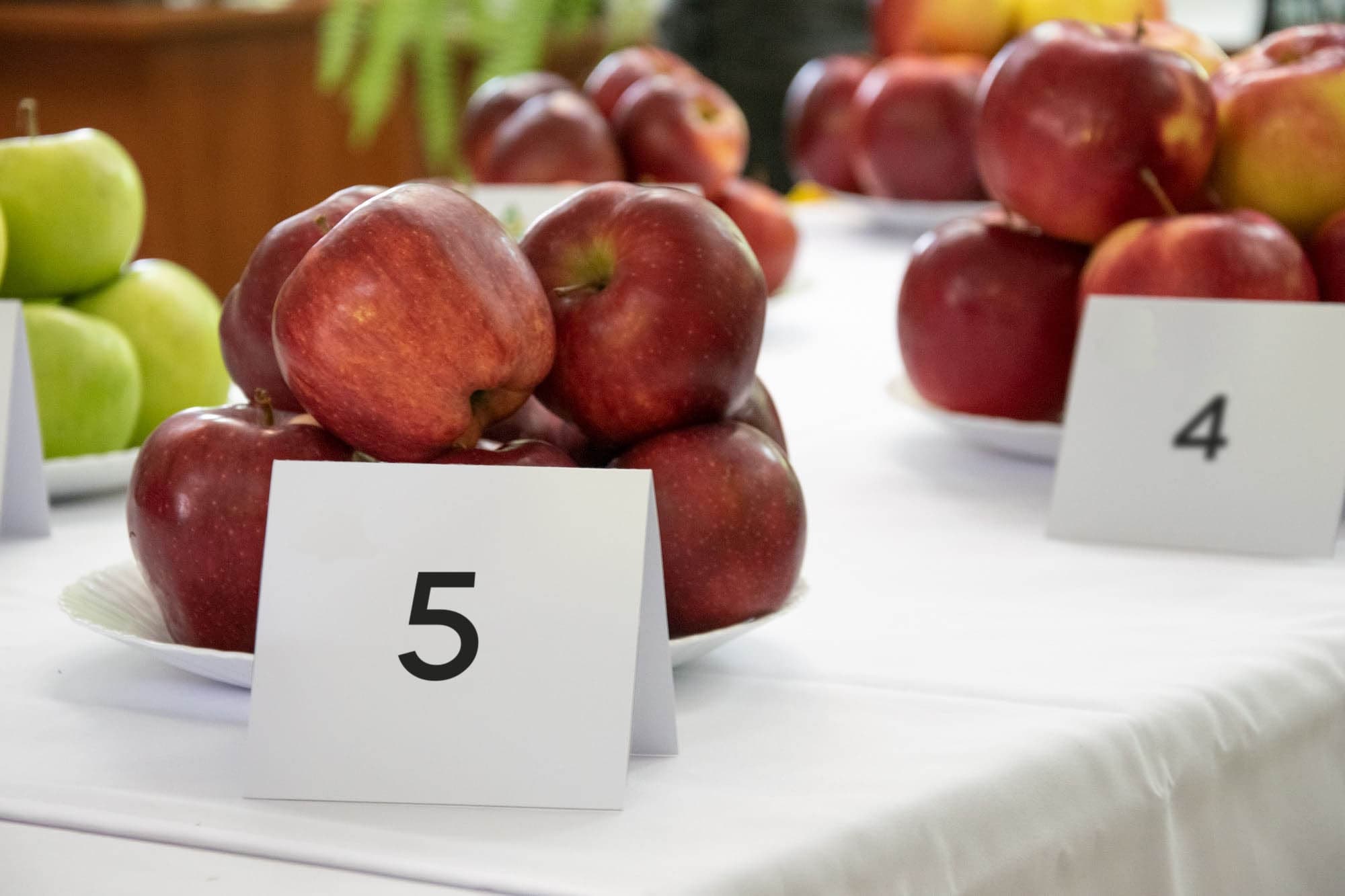 Топ-5 сортов яблок